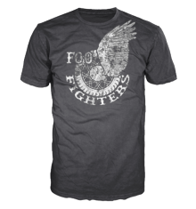 FOO FIGHTERS - WINGS